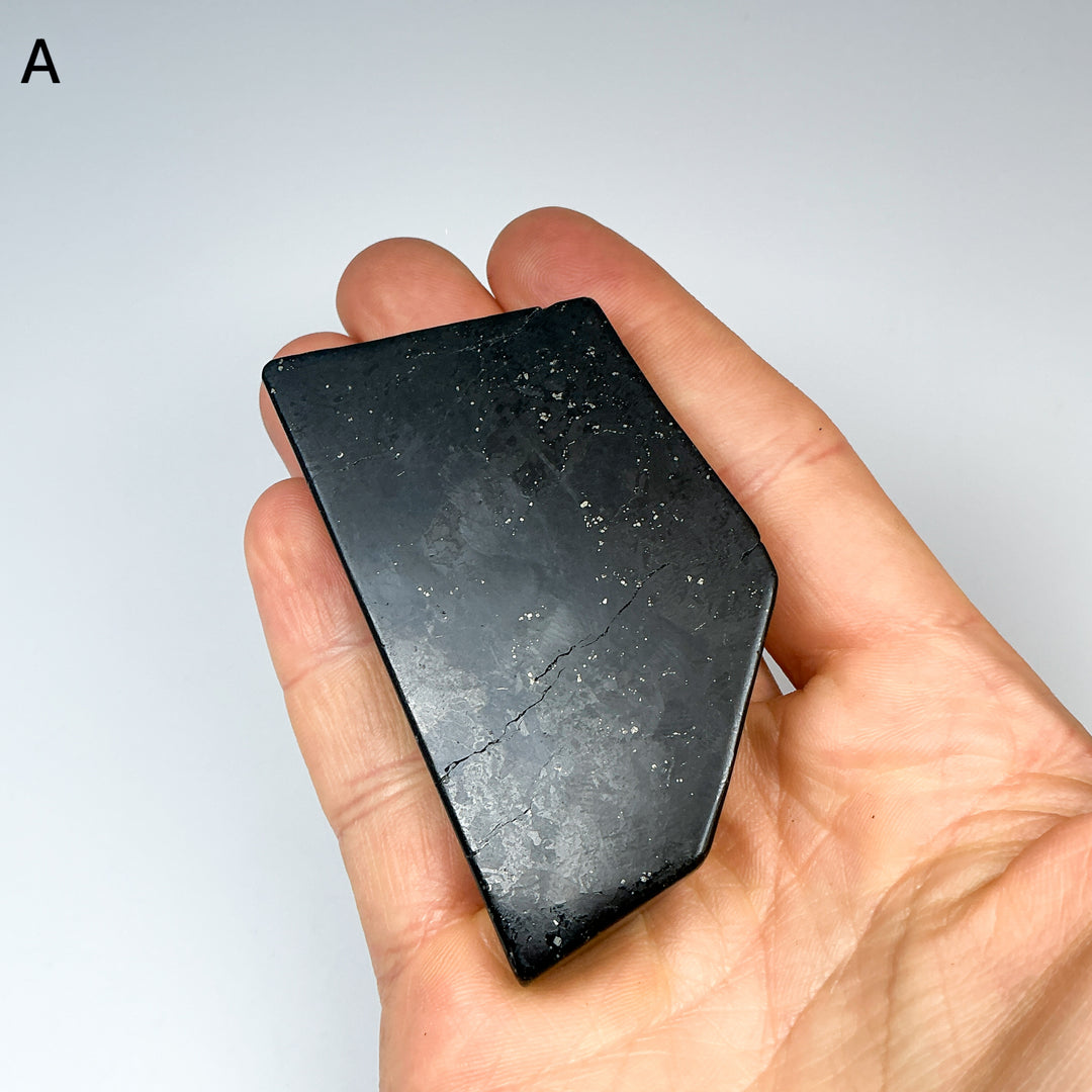 Shungite Slice - Rocks and Gems Canada
