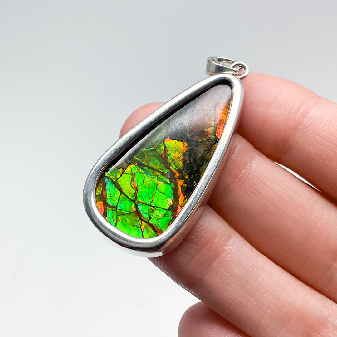 Alberta Ammolite Pendant