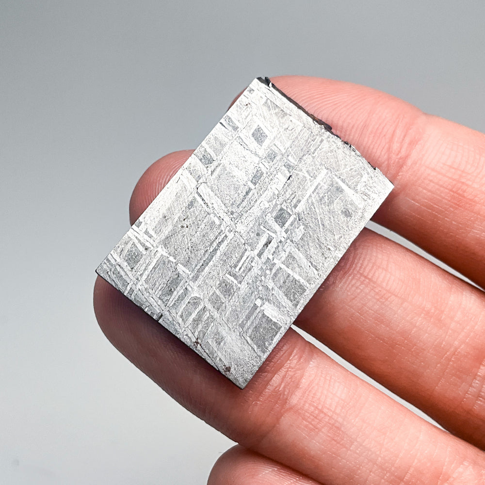 Muonionalusta Meteorite Slice