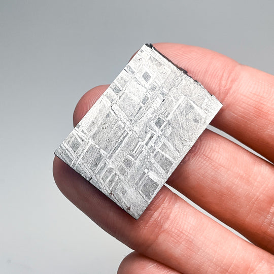 Muonionalusta Meteorite Slice