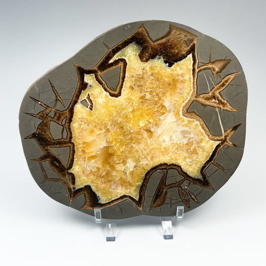 Septarian Slab