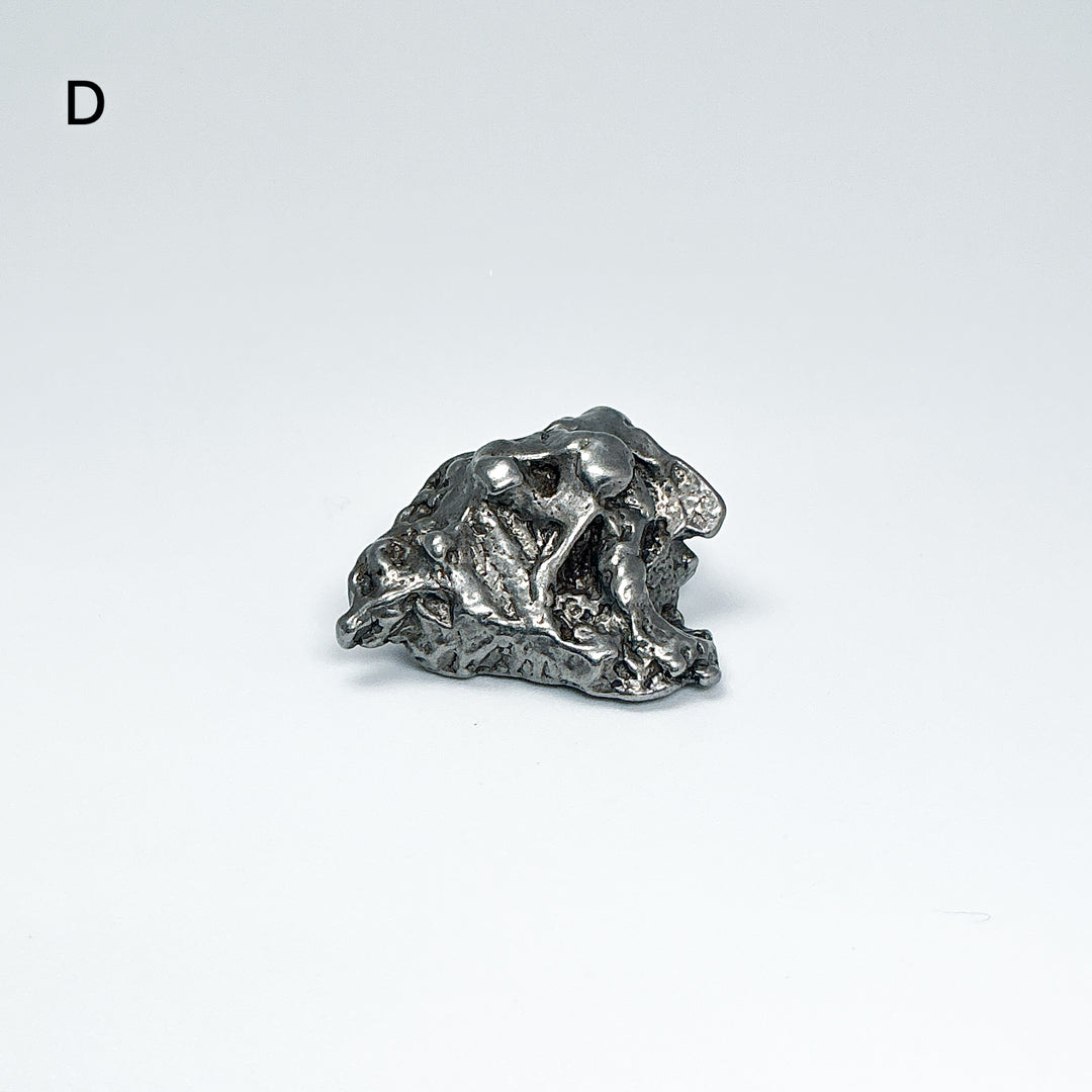 Campo Del Cielo Meteorite