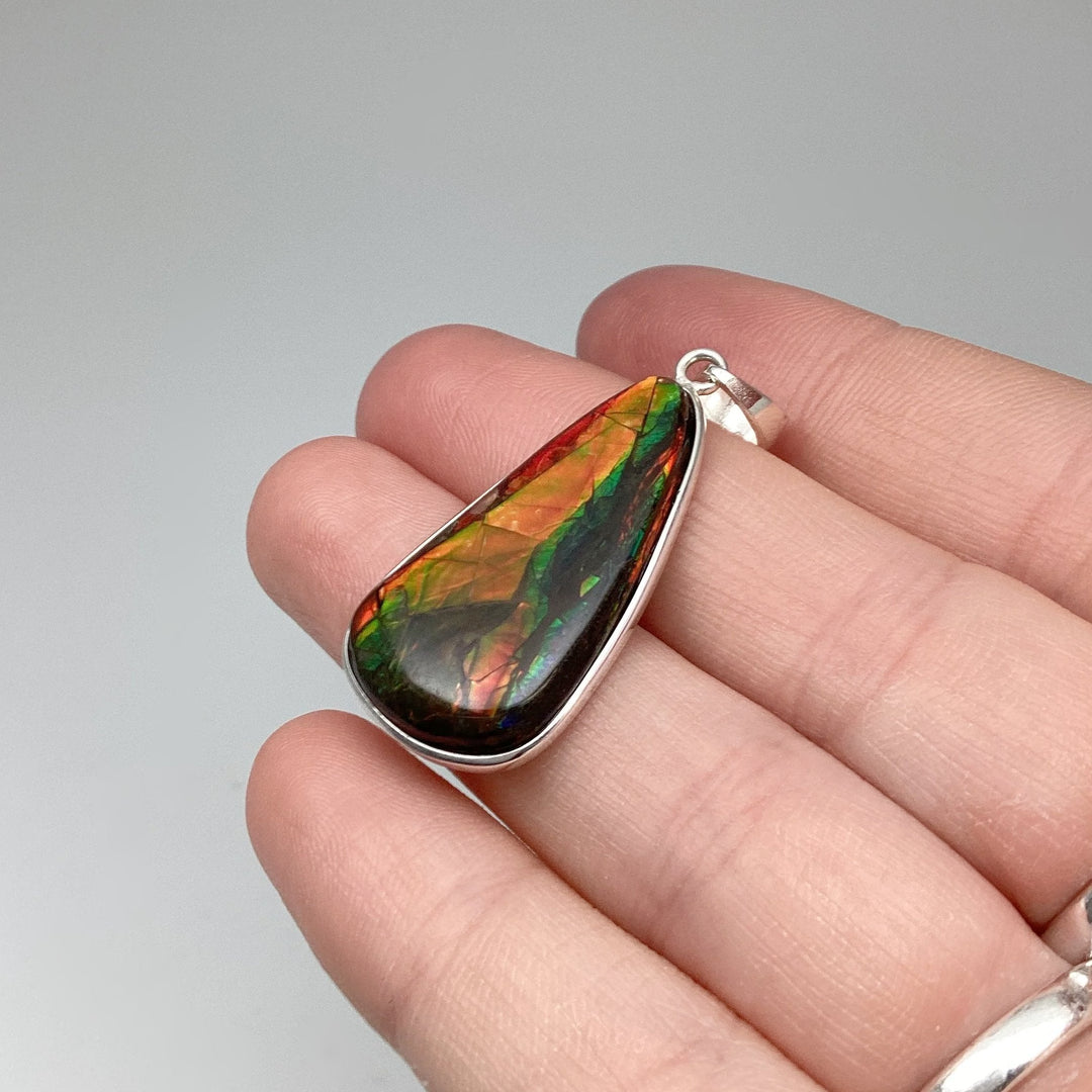 Alberta Ammolite Pendant