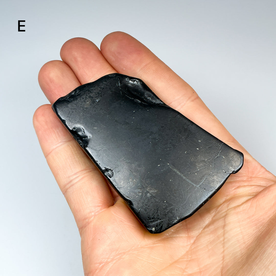 Shungite Slice - Rocks and Gems Canada