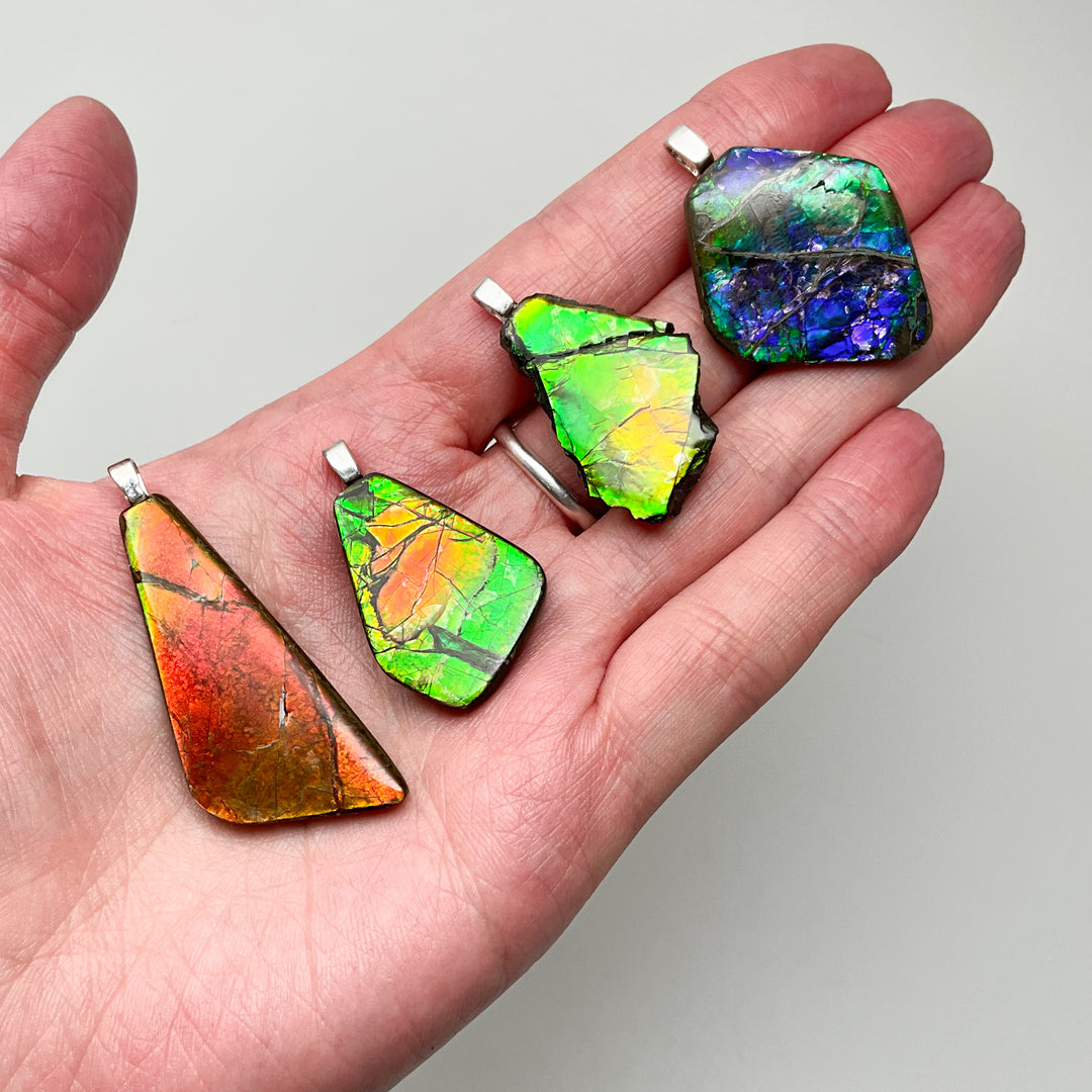 Alberta Ammolite Pendant - Rocks and Gems Canada