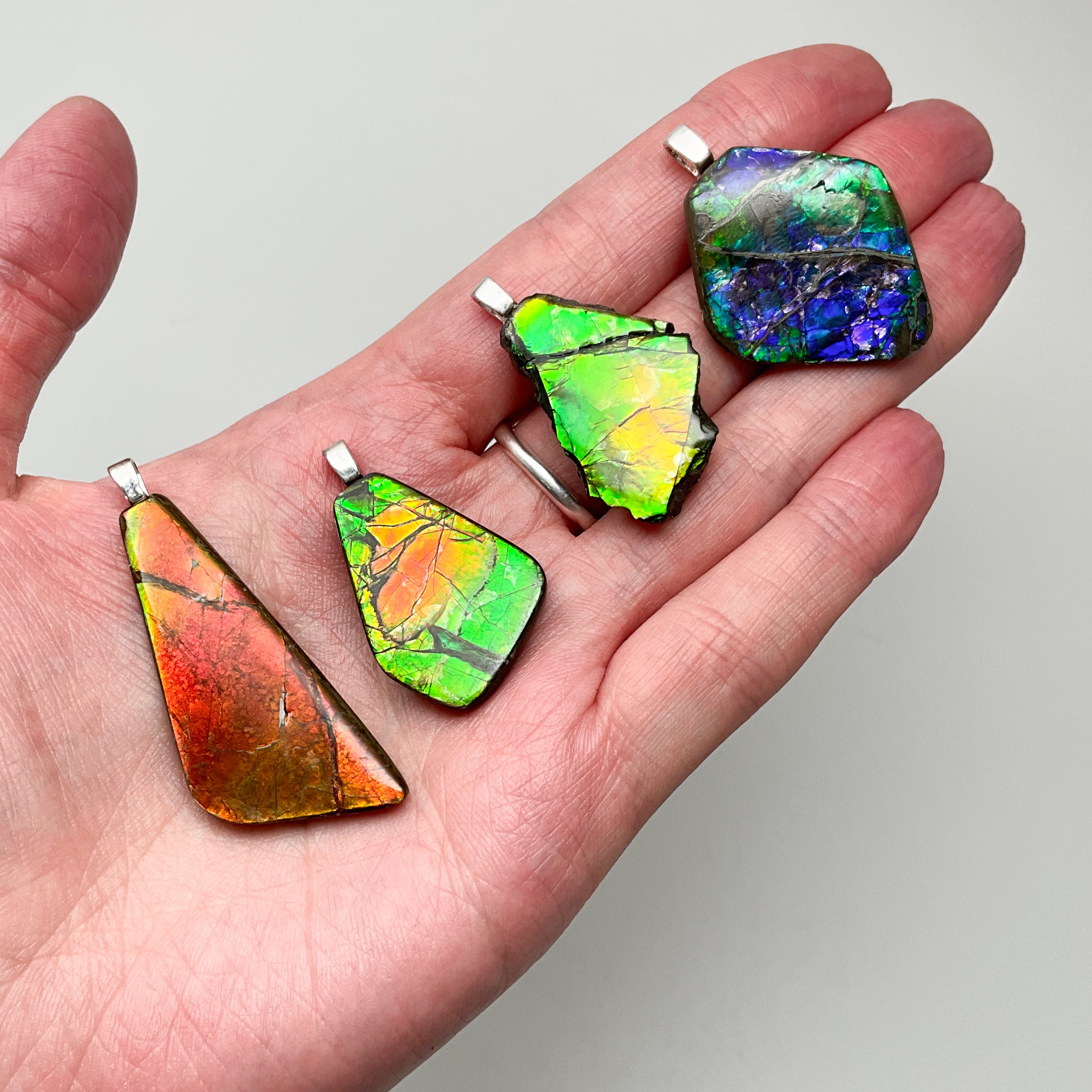 Alberta Ammolite Pendant - Rocks and Gems Canada