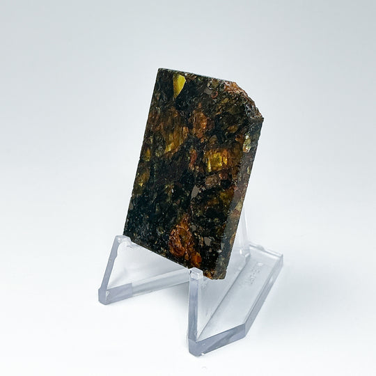 Admire Meteorite Slice - Rocks and Gems Canada