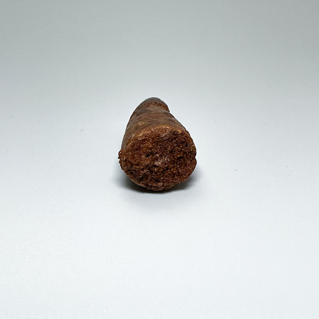 Fossilized Spinosaurus Tooth Specimen