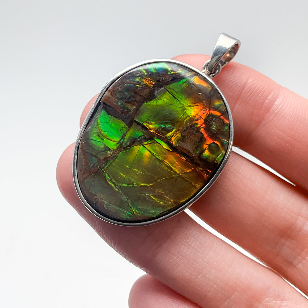 Alberta Ammolite Pendant