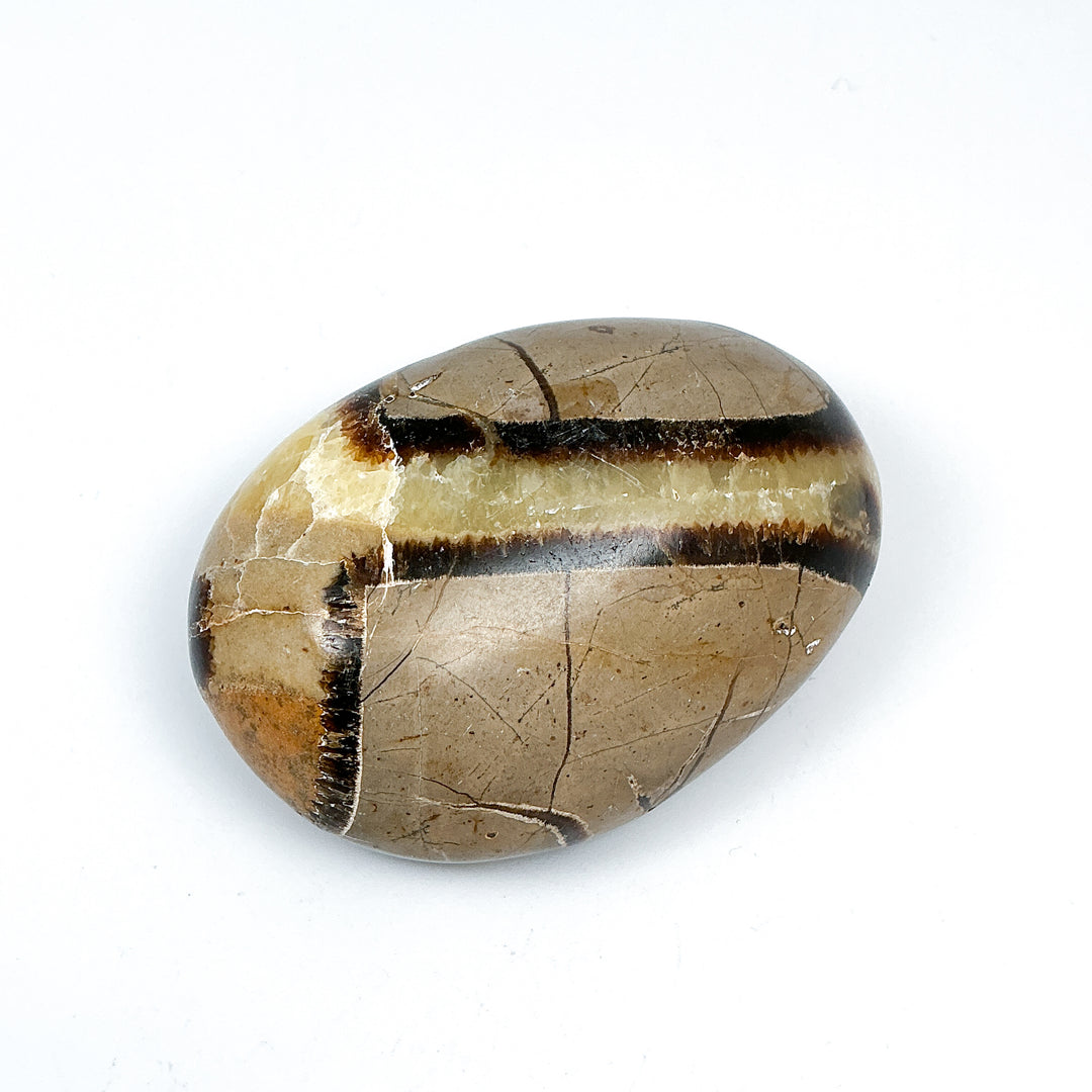 Septarian Tumble - Rocks and Gems Canada