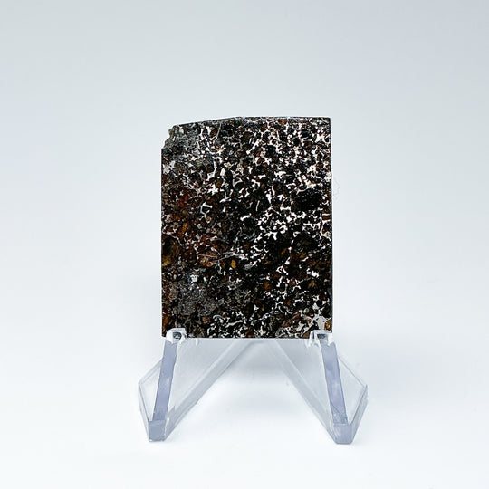 Admire Meteorite Slice - Rocks and Gems Canada