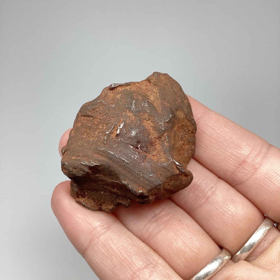 Gebel Kamil Meteorite - Rocks and Gems Canada