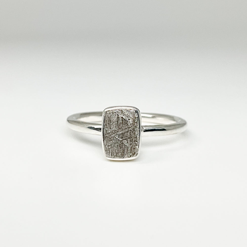 Muonionalusta Meteorite Ring - Rocks and Gems Canada