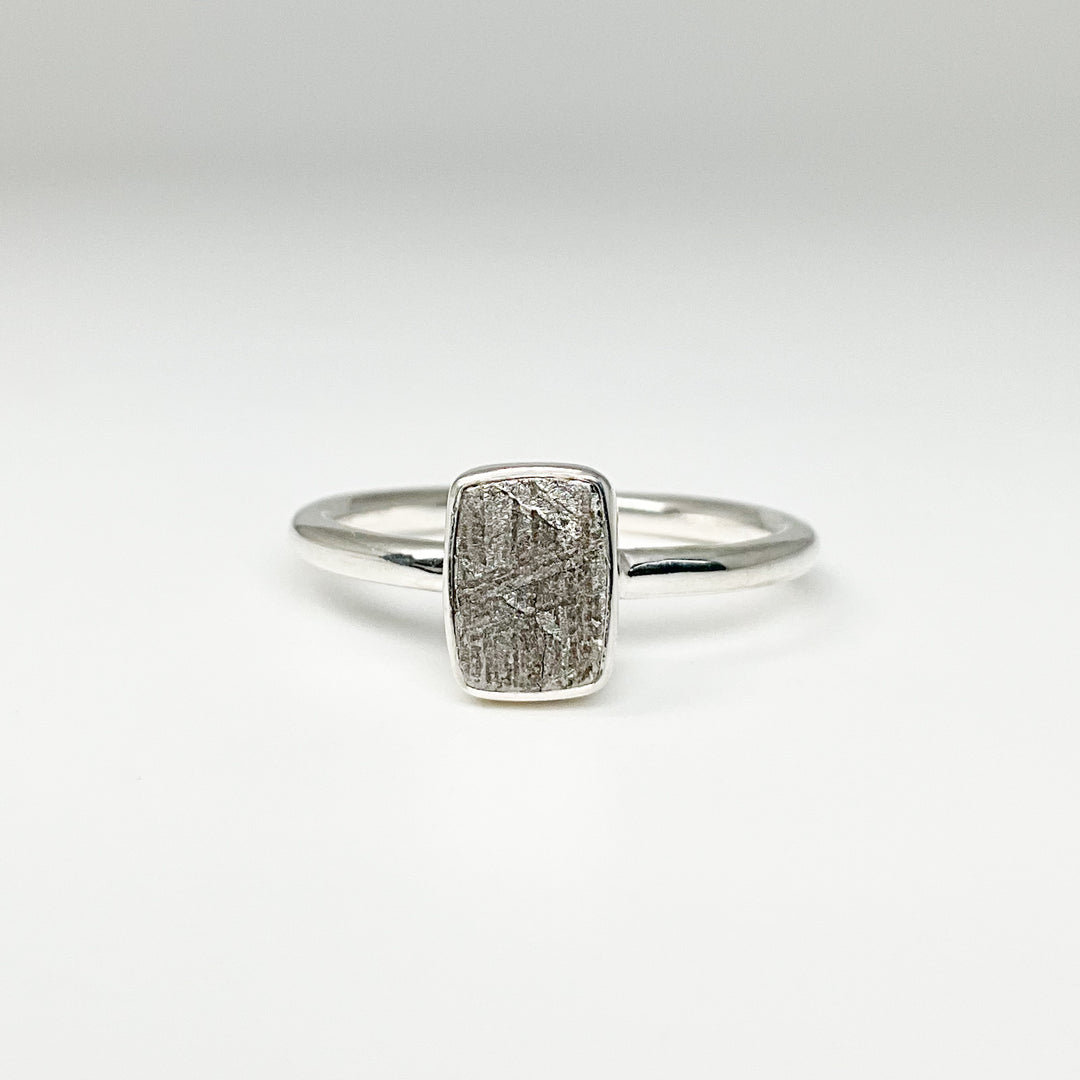 Muonionalusta Meteorite Ring - Rocks and Gems Canada