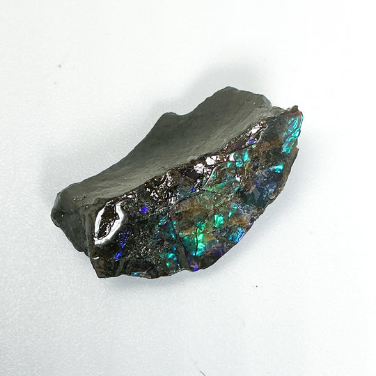 Ammolite Specimen