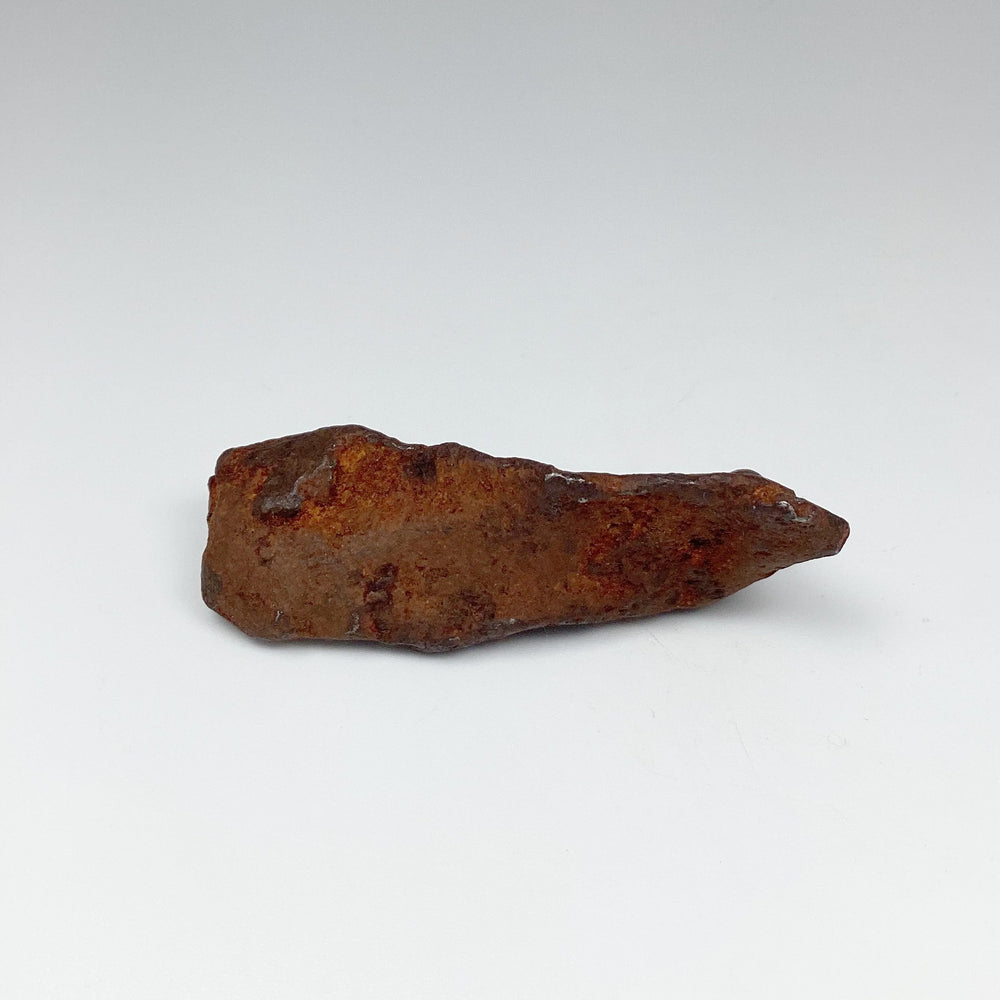 Gebel Kamil Meteorite - Rocks and Gems Canada