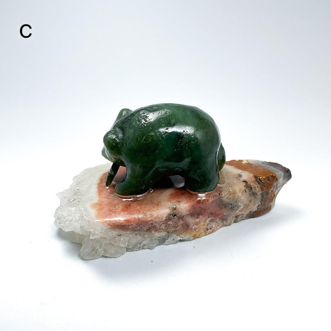 BC Jade Bear with Fish on Quartz Base - Rocks and Gems Canada