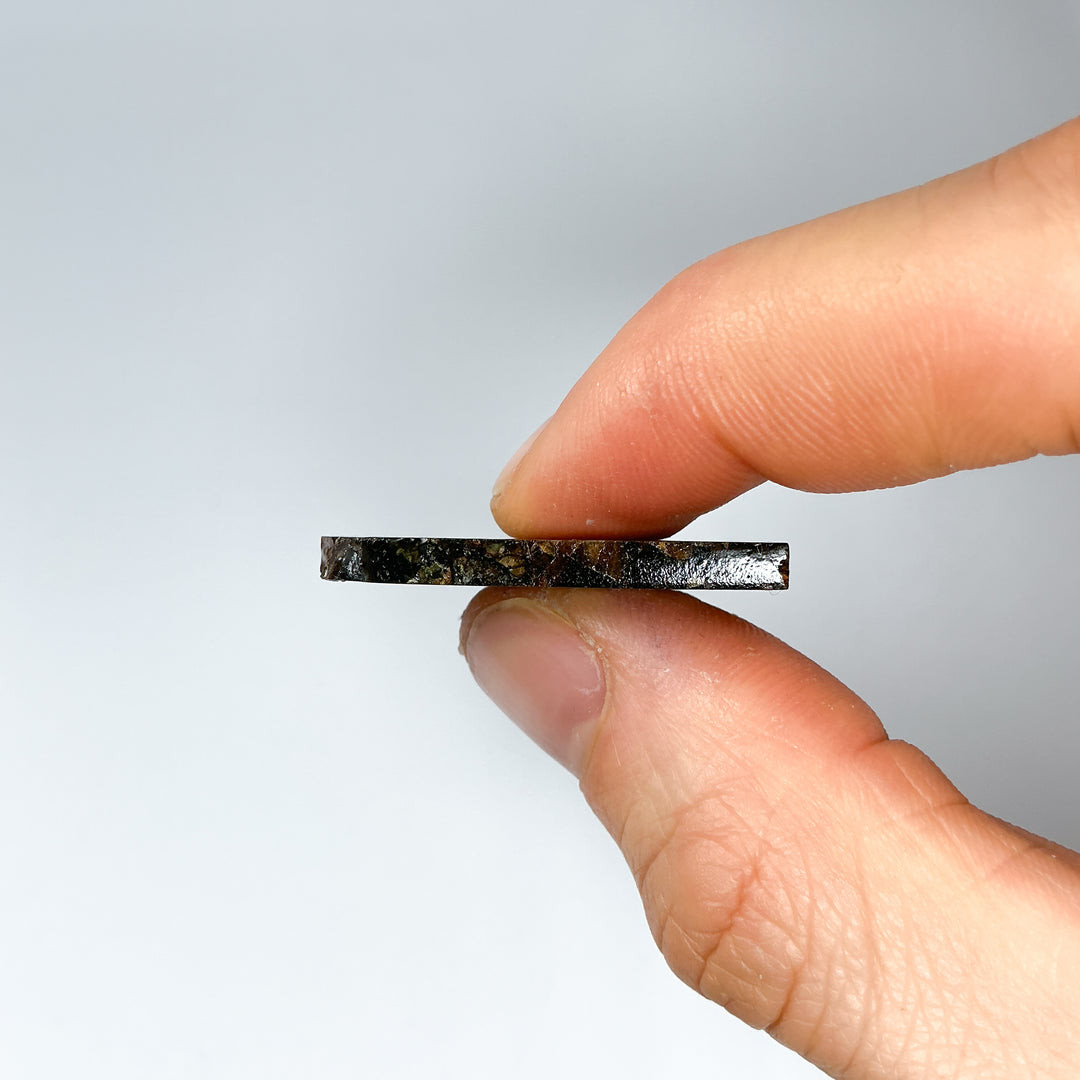 Admire Meteorite Slice - Rocks and Gems Canada