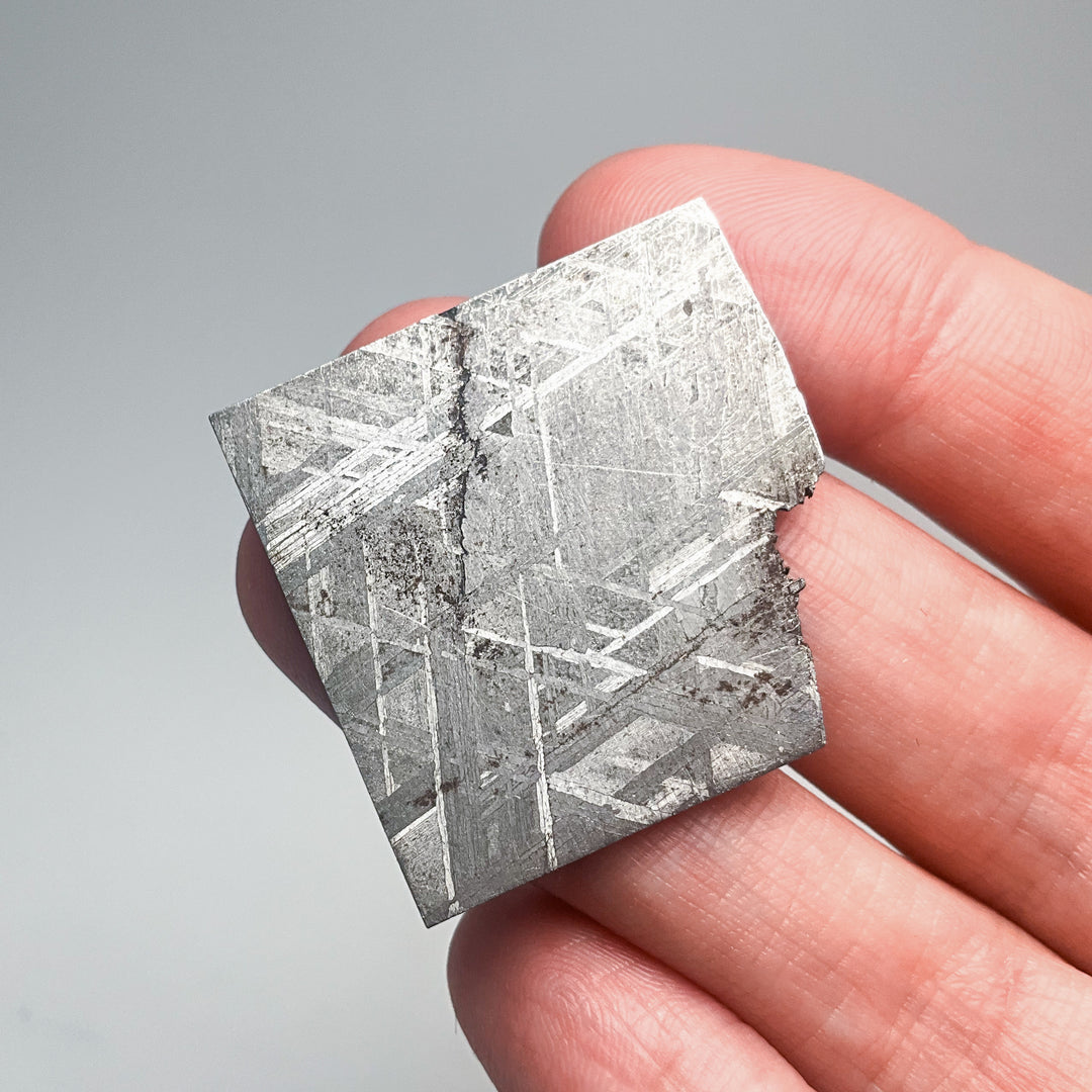 Muonionalusta Meteorite Slice