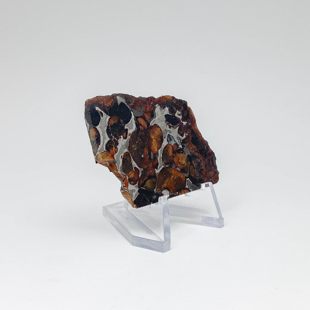 Sericho Meteorite Slice - Rocks and Gems Canada