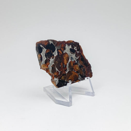 Sericho Meteorite Slice - Rocks and Gems Canada