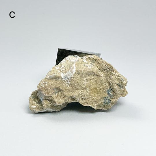 Iron Pyrite Cube in Matrix