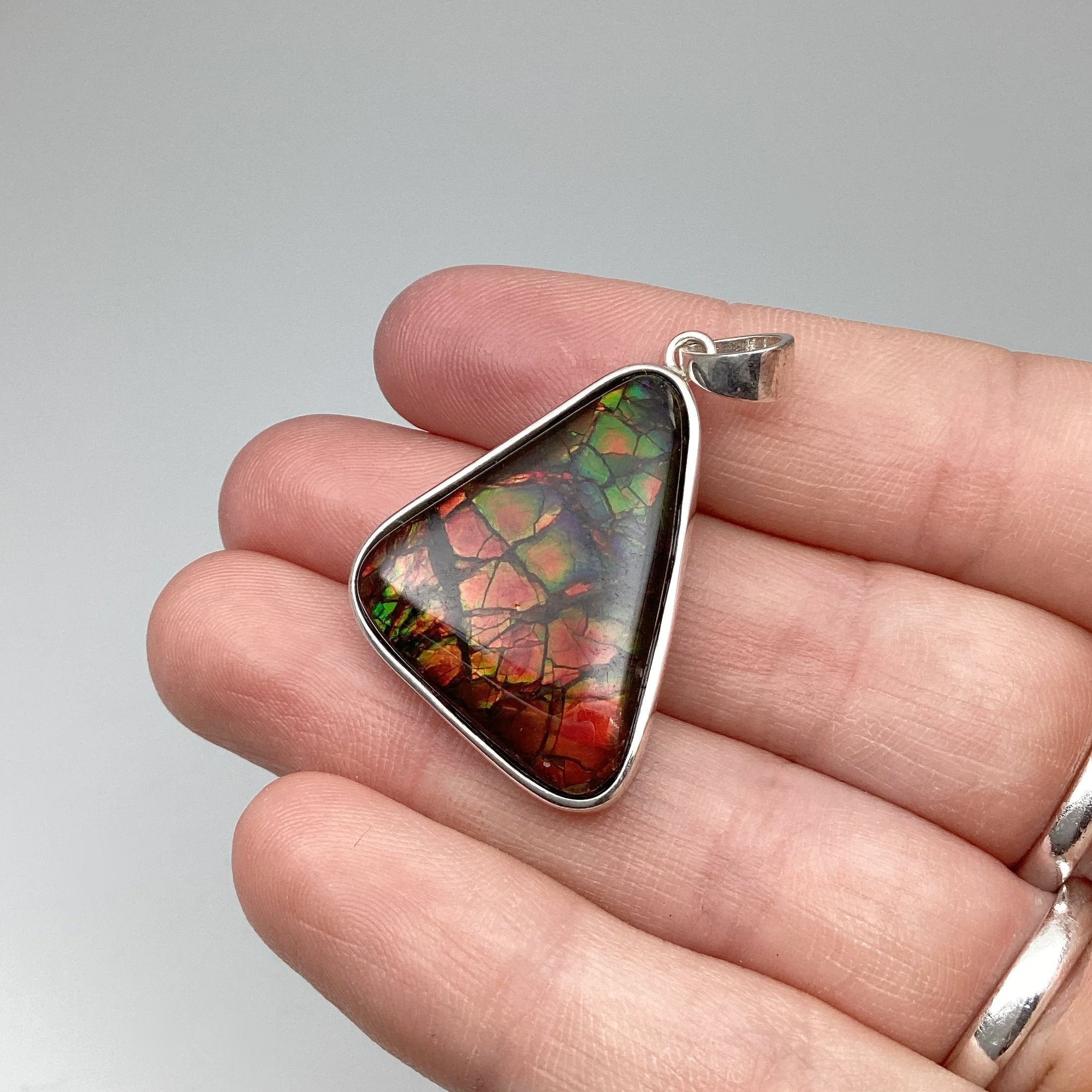 Alberta Ammolite Pendant - Rocks and Gems Canada