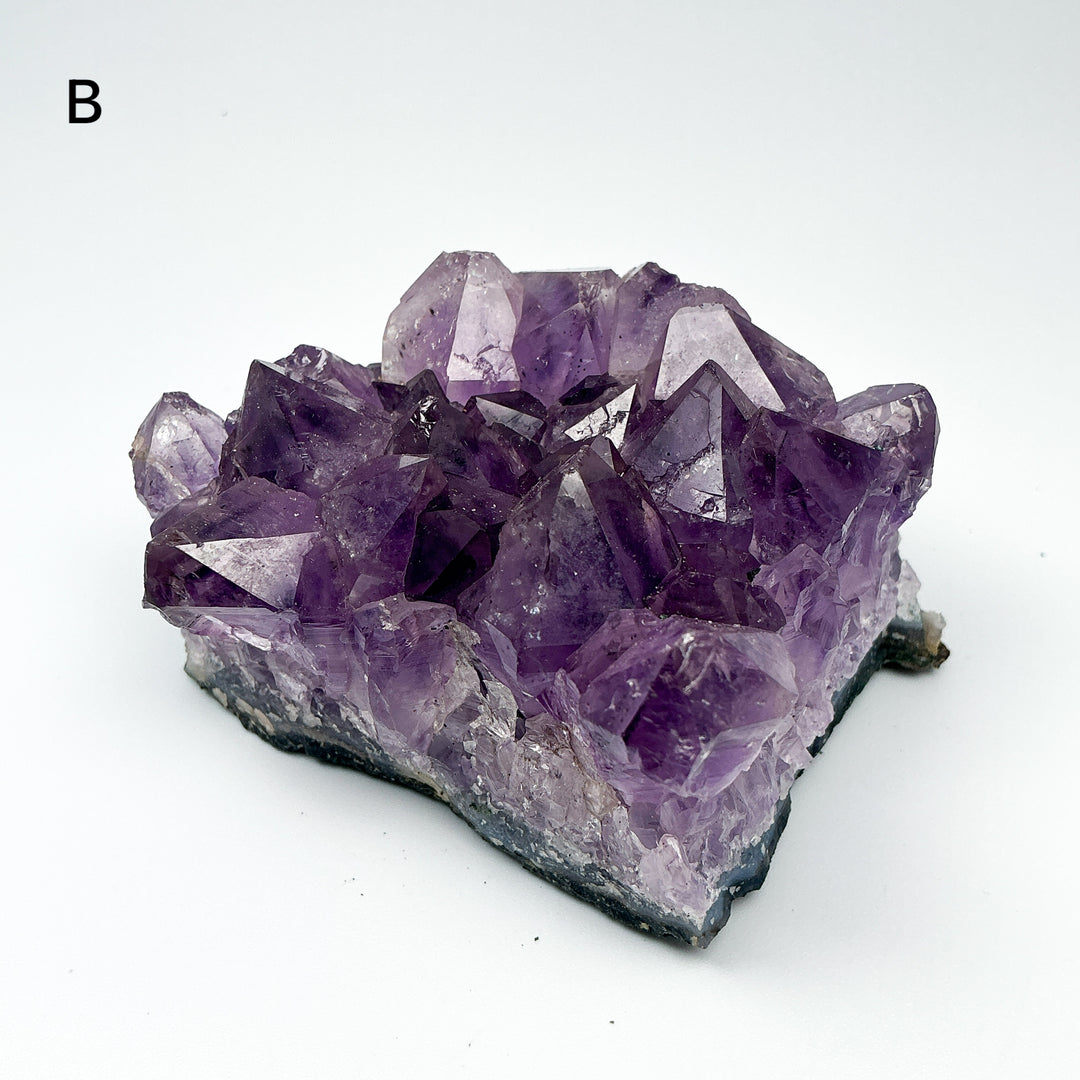 Amethyst Druze Cluster