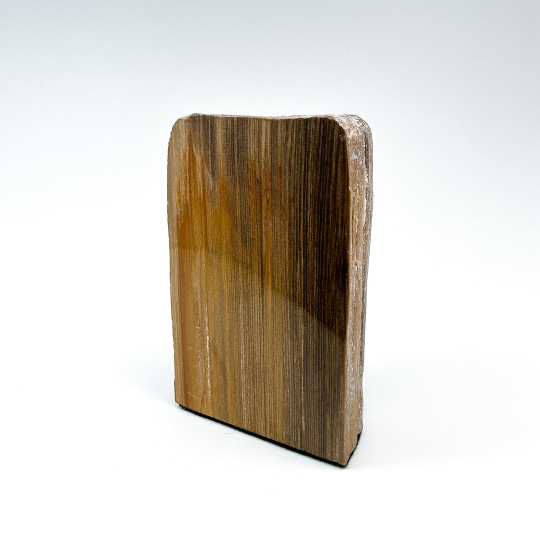 Petrified Wood Stand Up