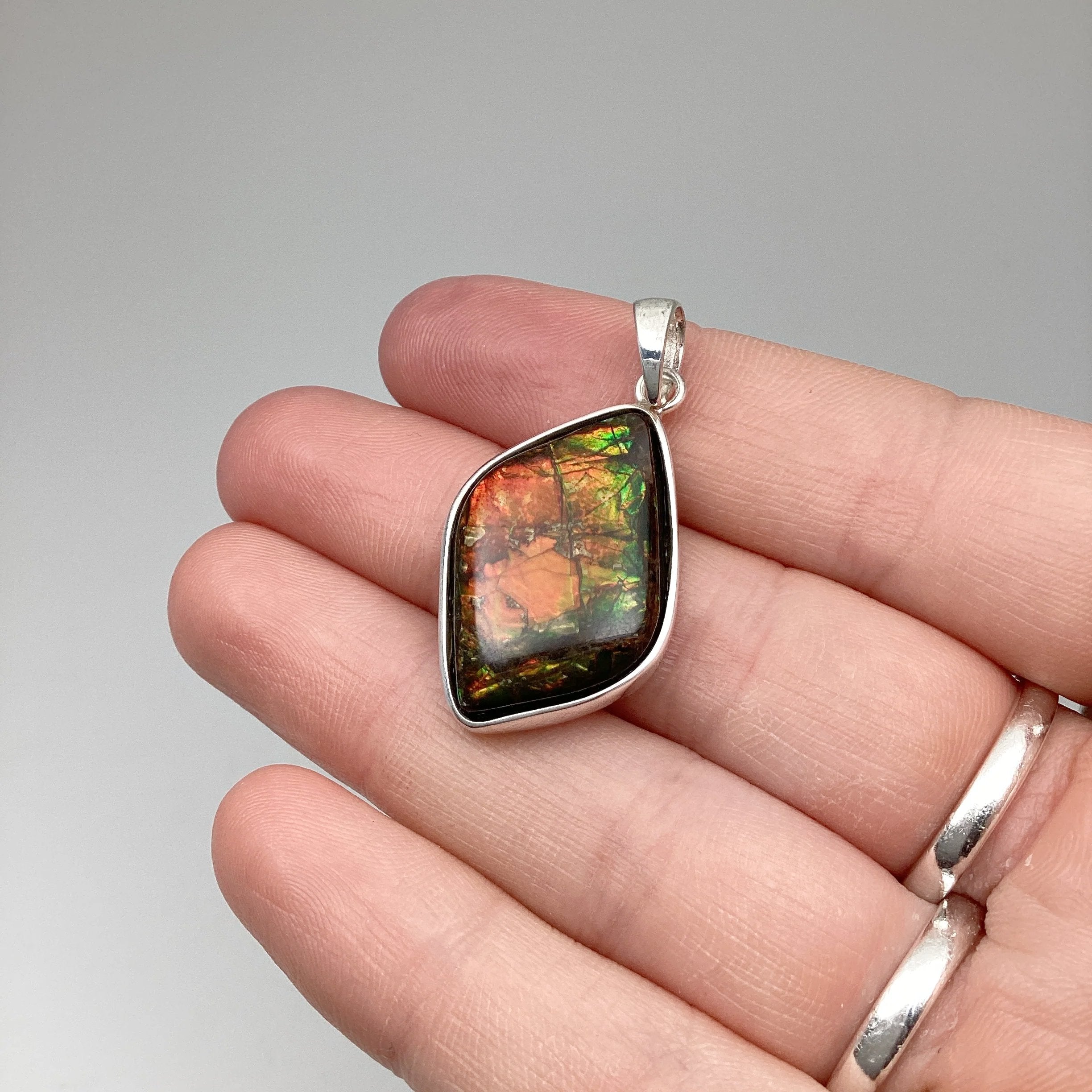 Alberta Ammolite Pendant - Rocks and Gems Canada
