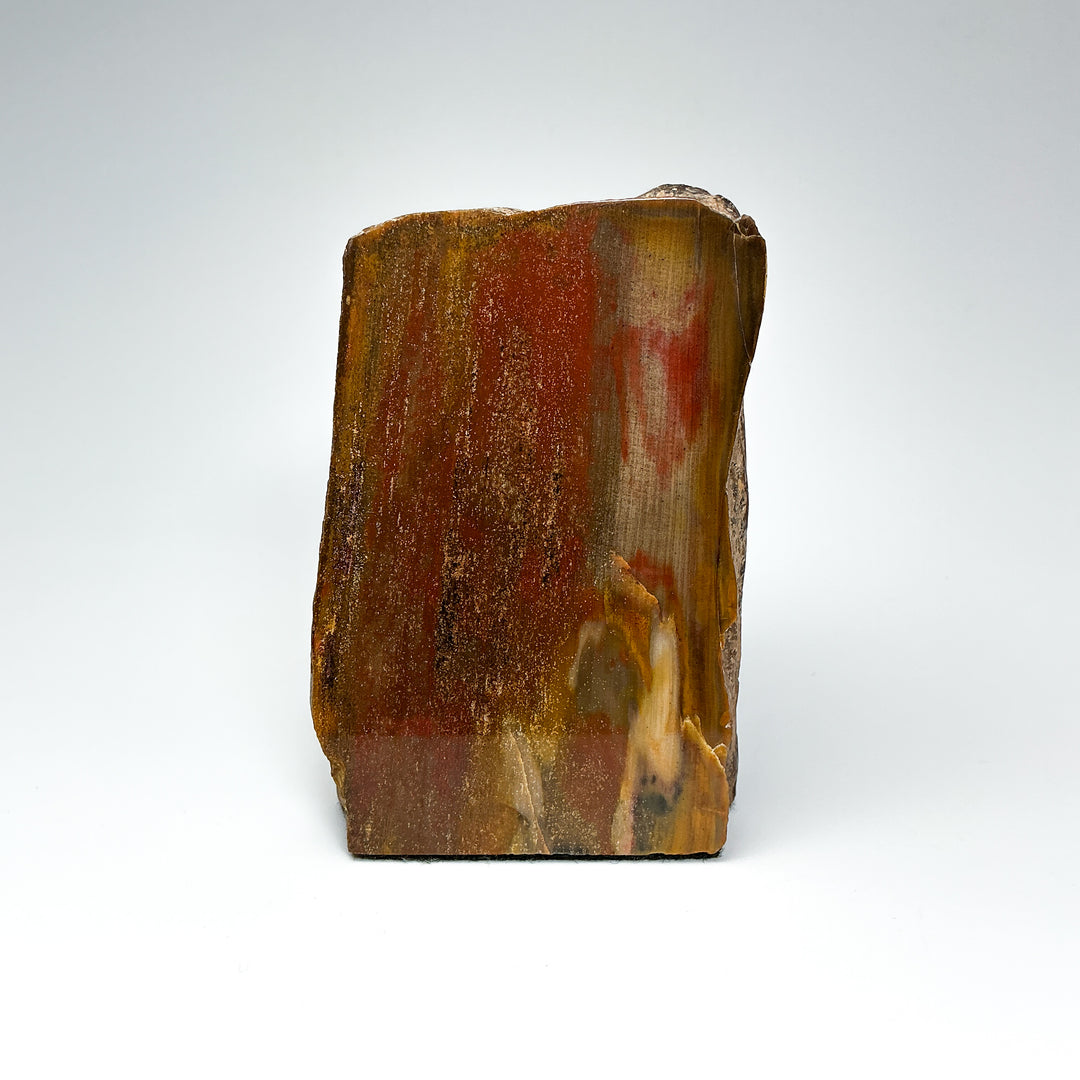 Petrified Wood Stand Up