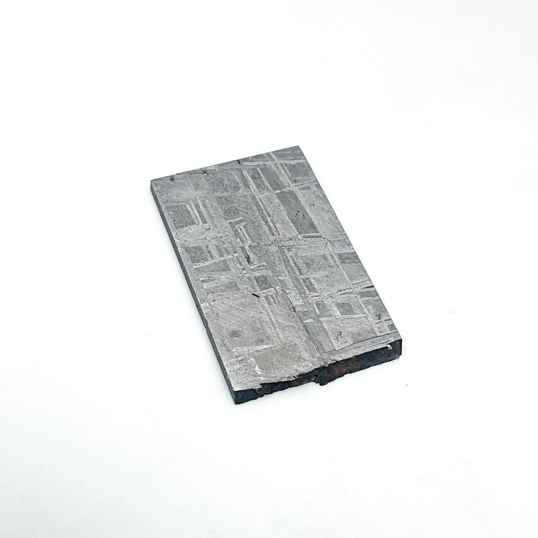 Muonionalusta Meteorite Slice