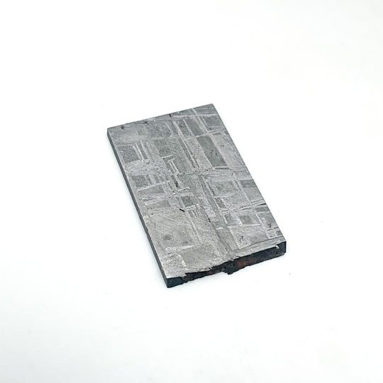 Muonionalusta Meteorite Slice
