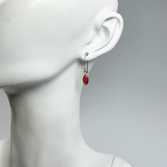 Rhodonite Dangle Earrings
