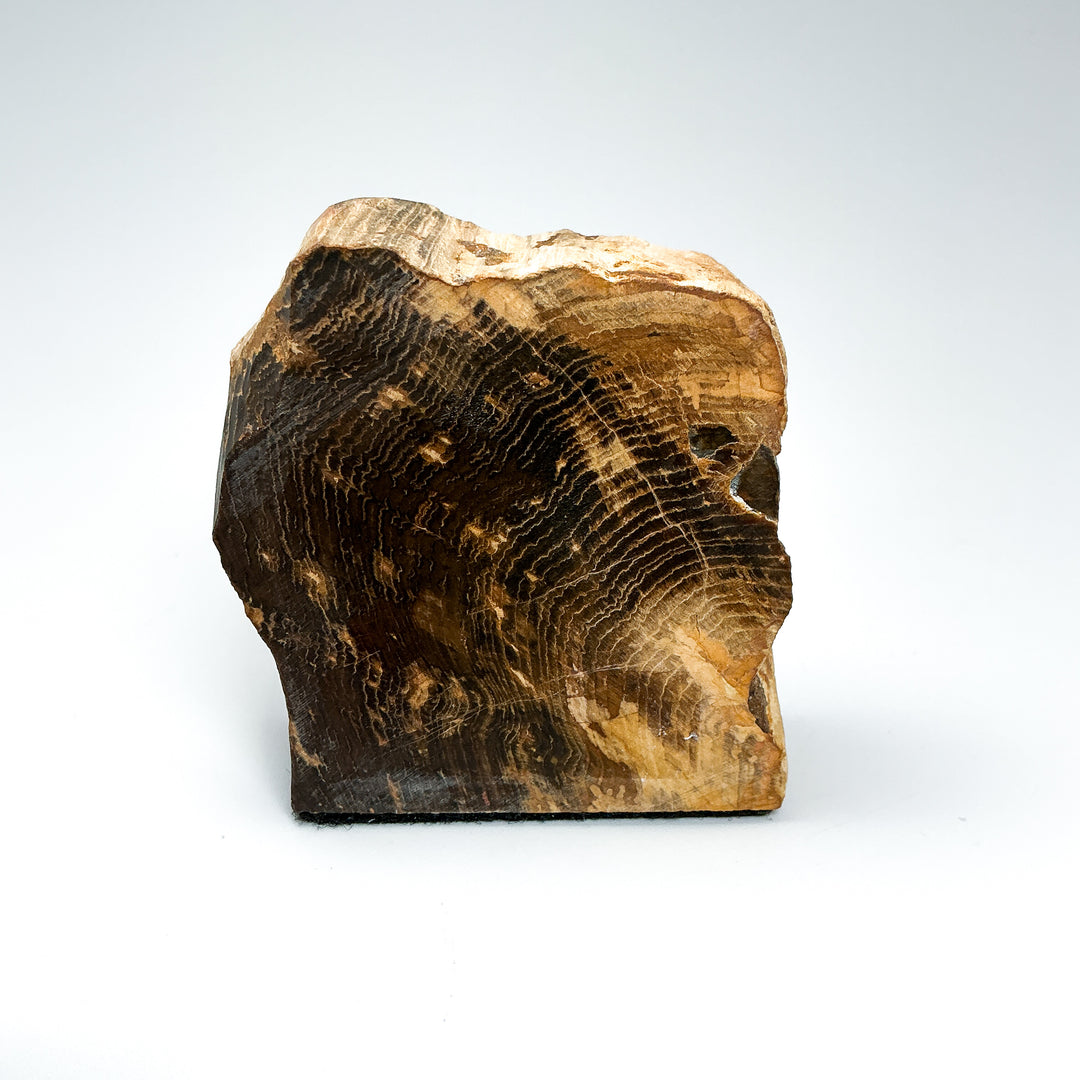 Petrified Wood Stand Up - Rocks and Gems Canada