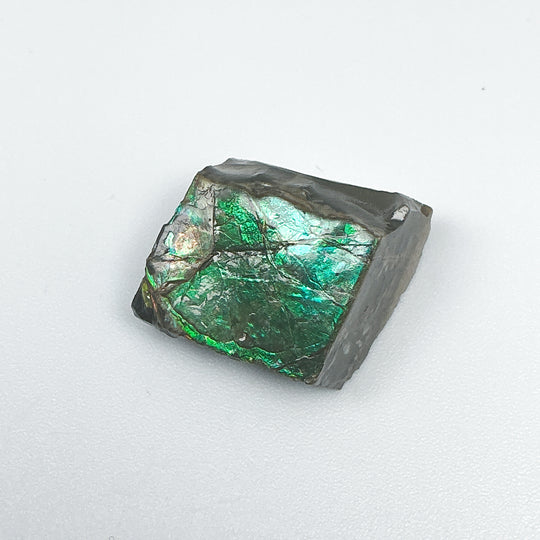 Ammolite Specimen