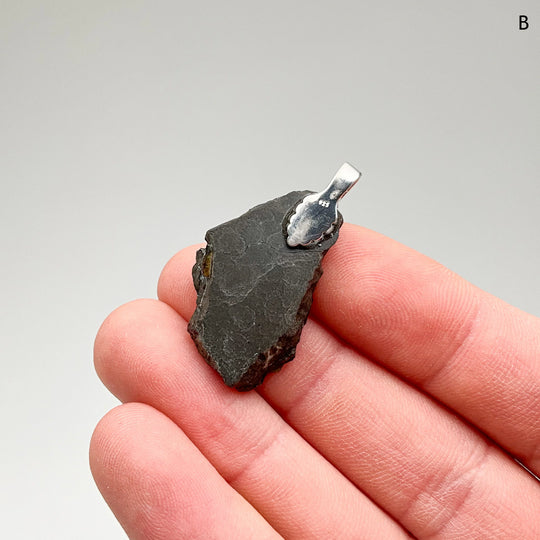Alberta Ammolite Pendant - Rocks and Gems Canada