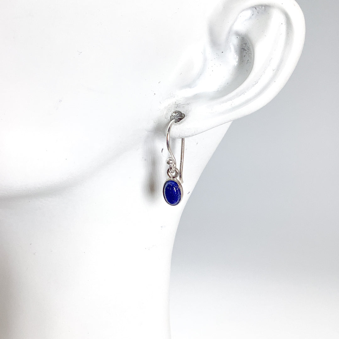 Lapis Lazuli Dangle Earrings - Rocks and Gems Canada