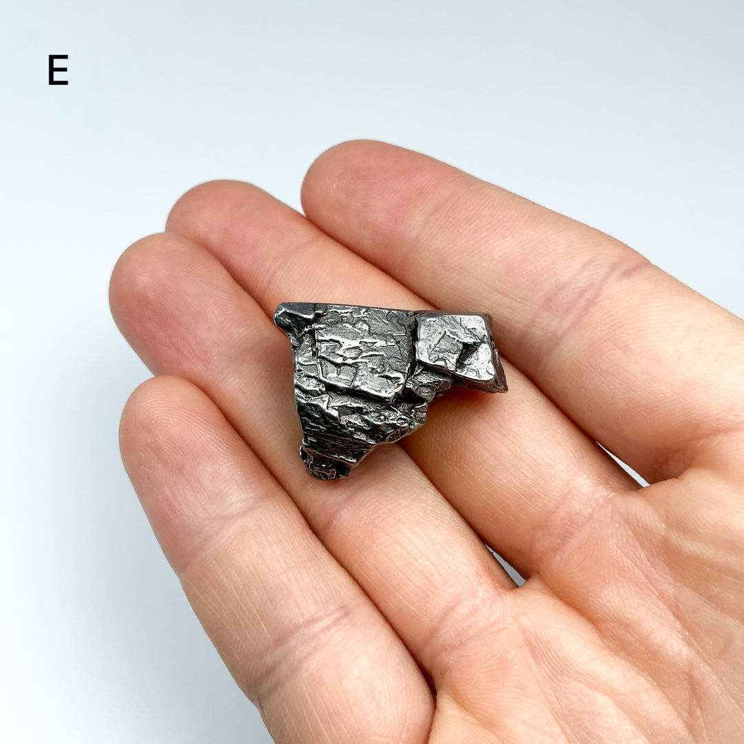 Campo Del Cielo Meteorite