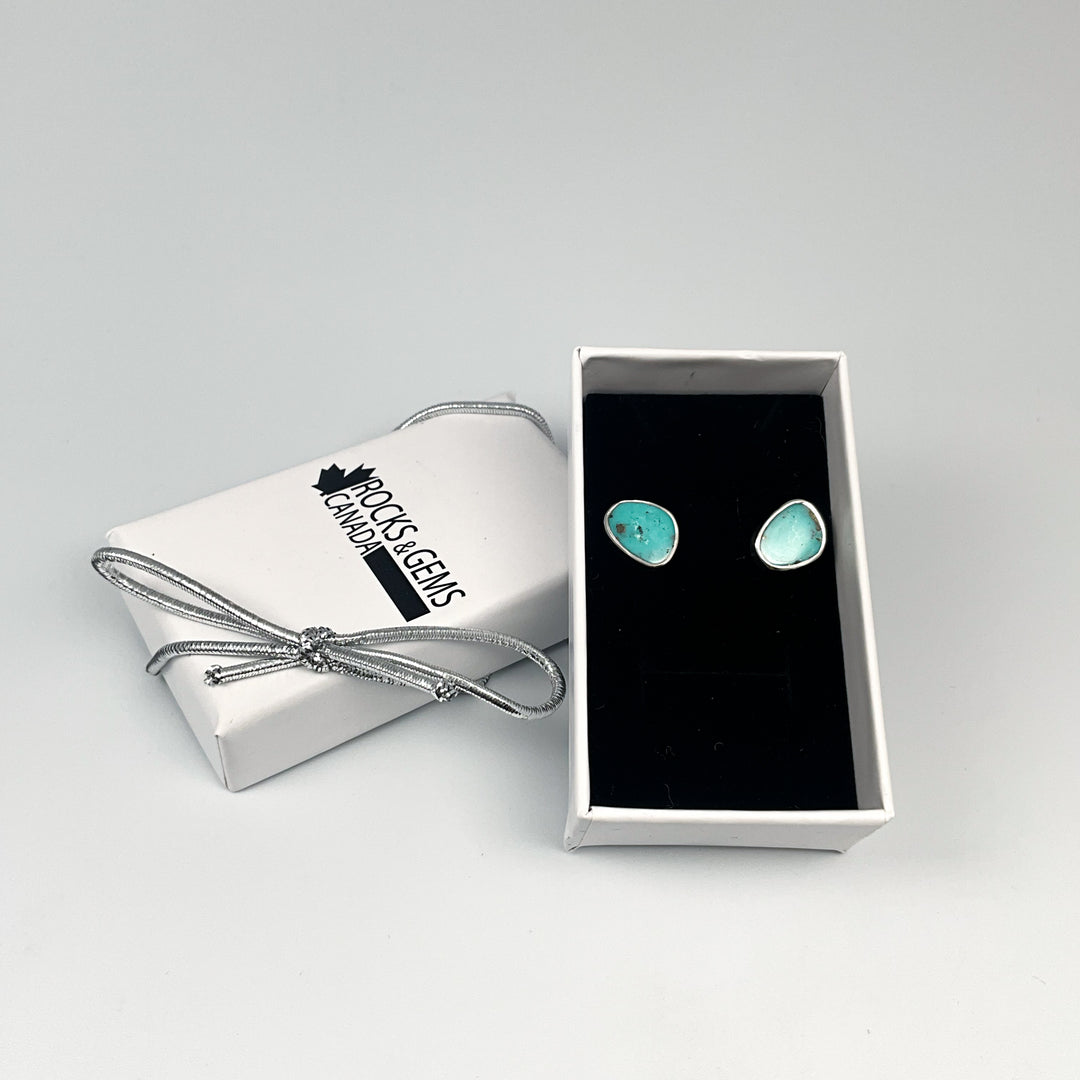 Turquoise Stud Earrings