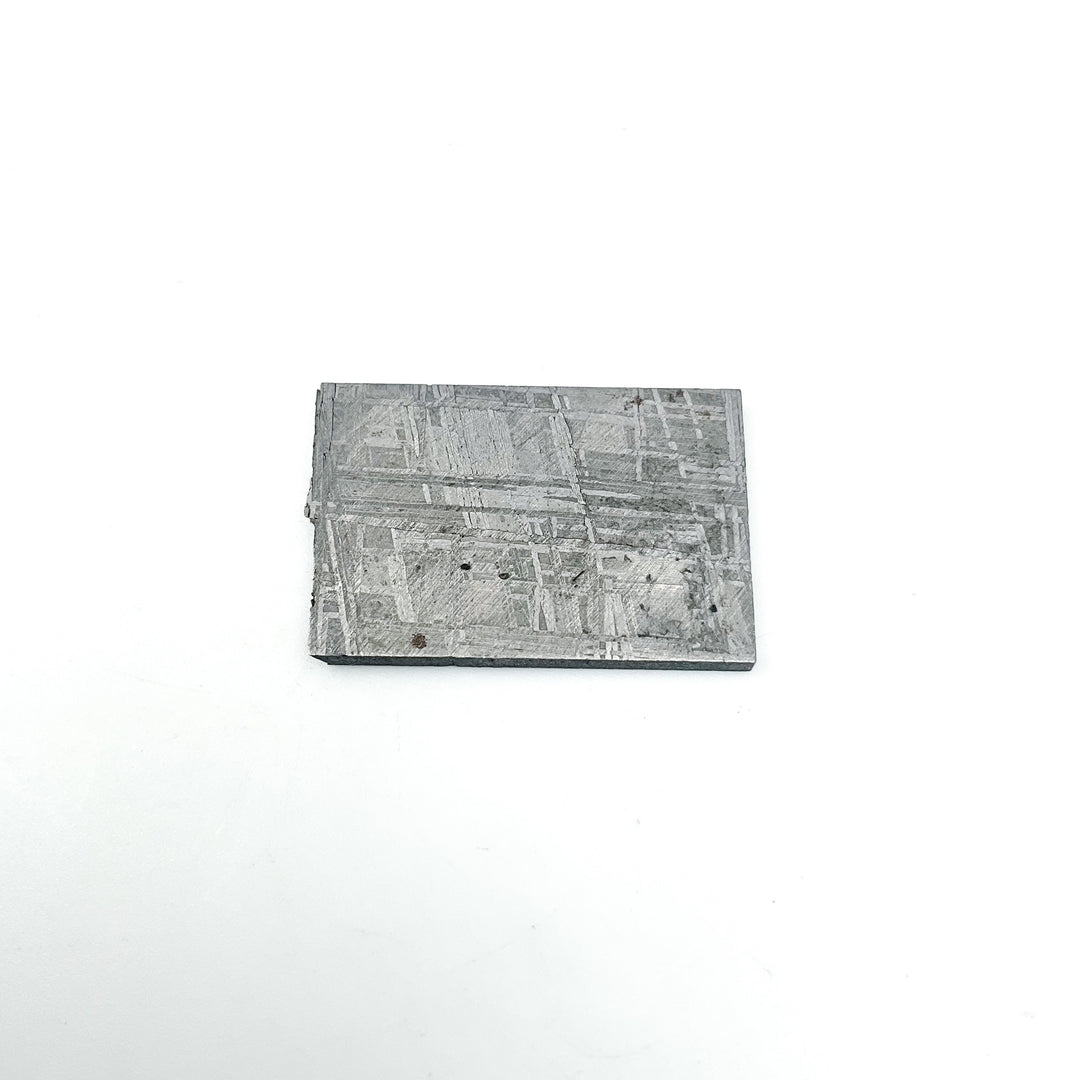 Muonionalusta Meteorite Slice