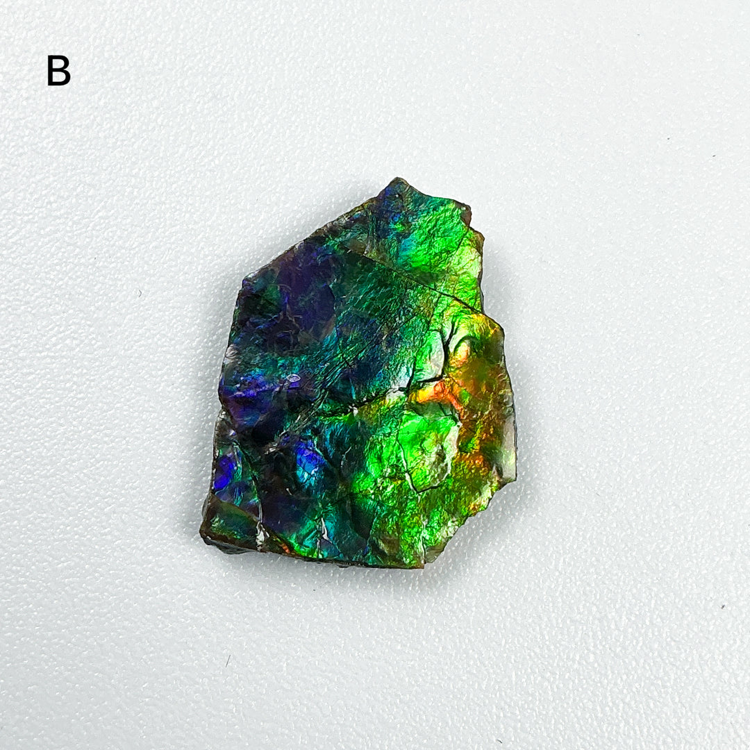 Ammolite Specimen