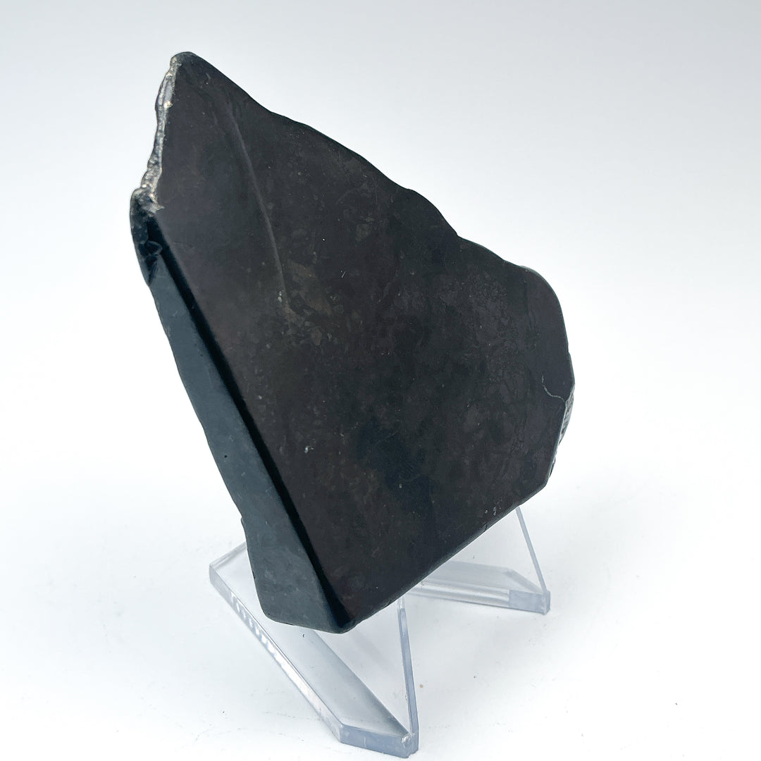 Shungite Slice - Rocks and Gems Canada