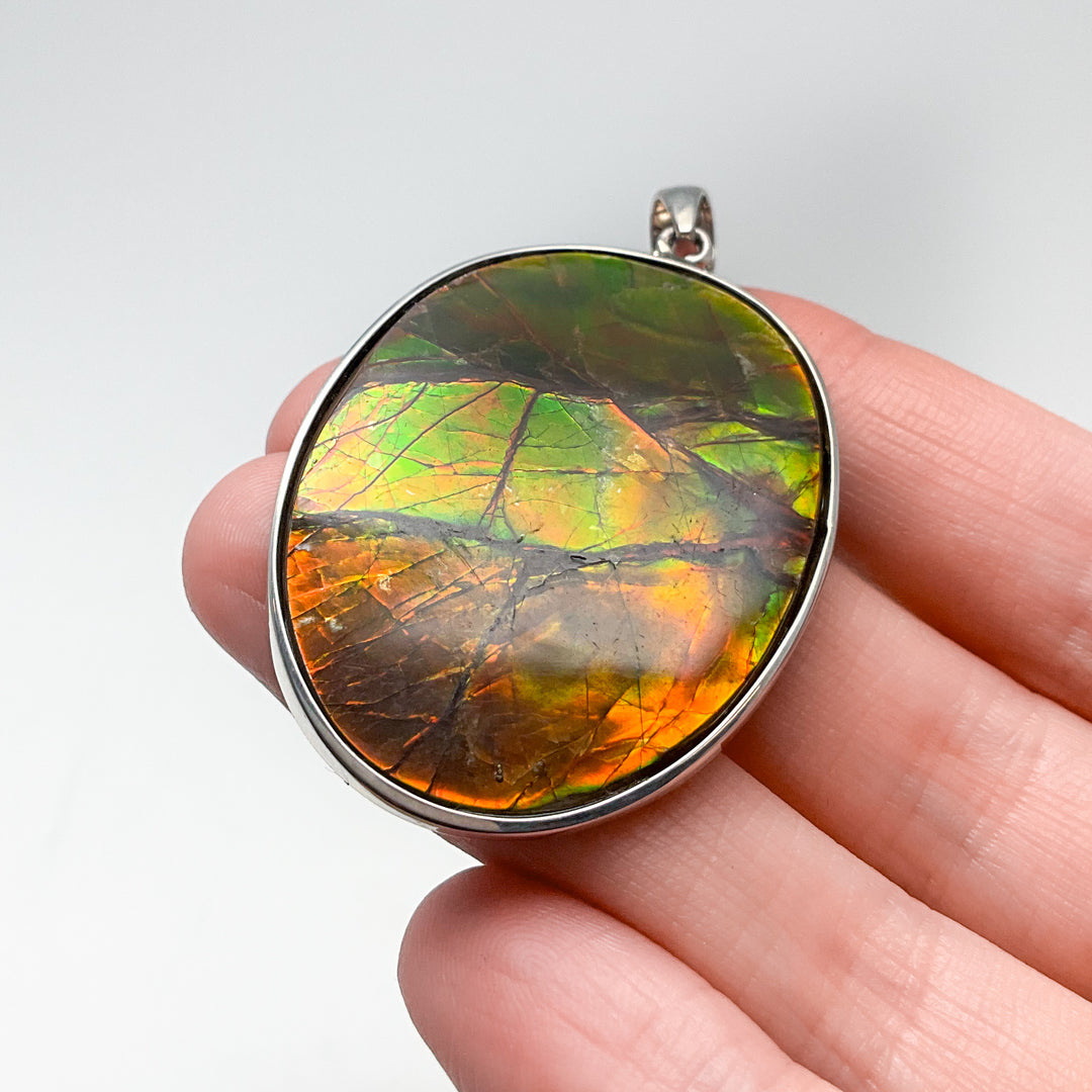 Alberta Ammolite Pendant