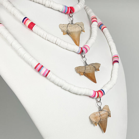 Fossilized Shark Tooth Necklace - Rocks and Gems Canada