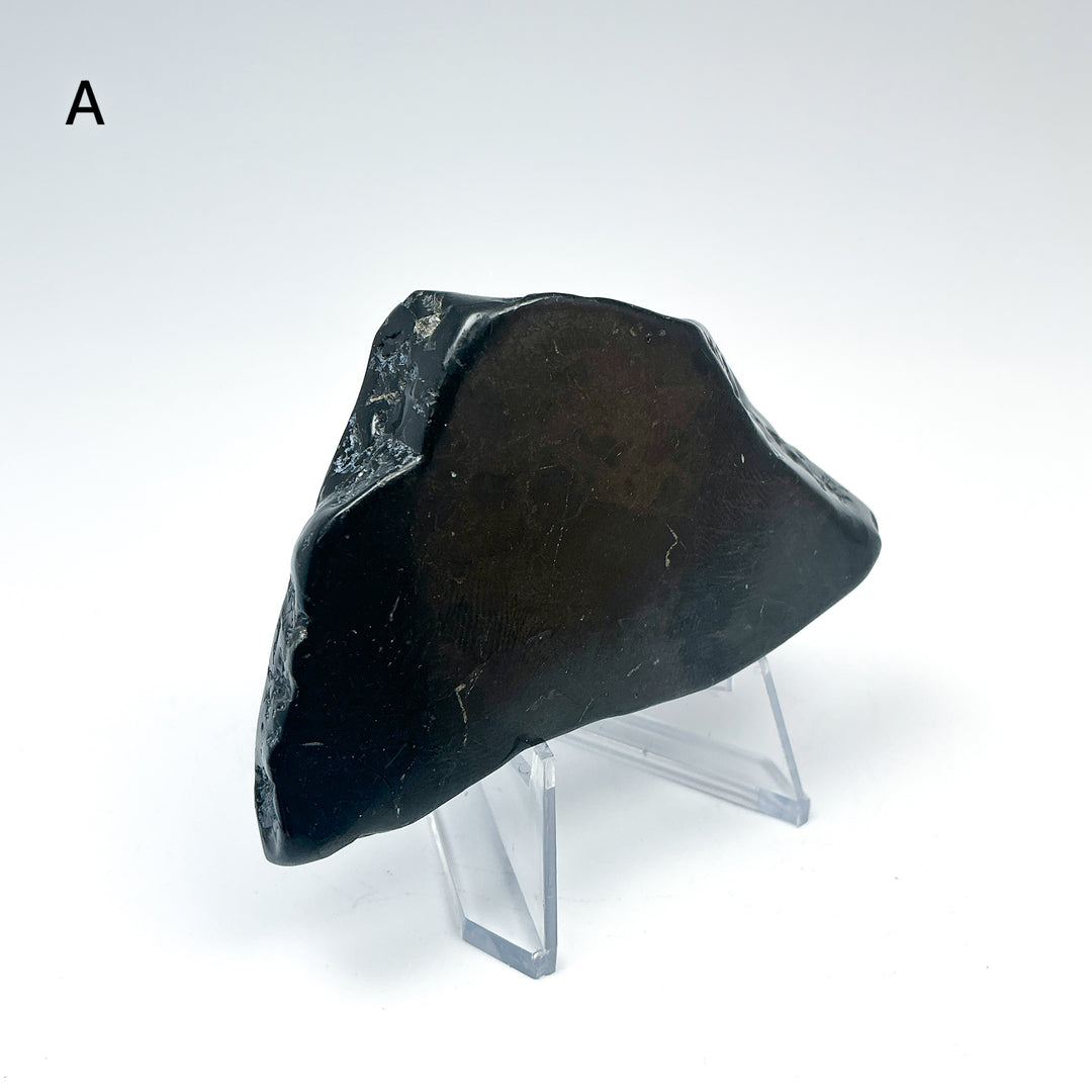 Shungite Slice - Rocks and Gems Canada