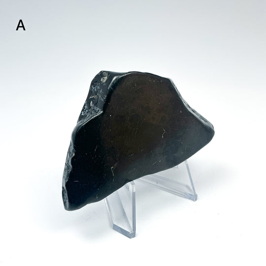 Shungite Slice - Rocks and Gems Canada