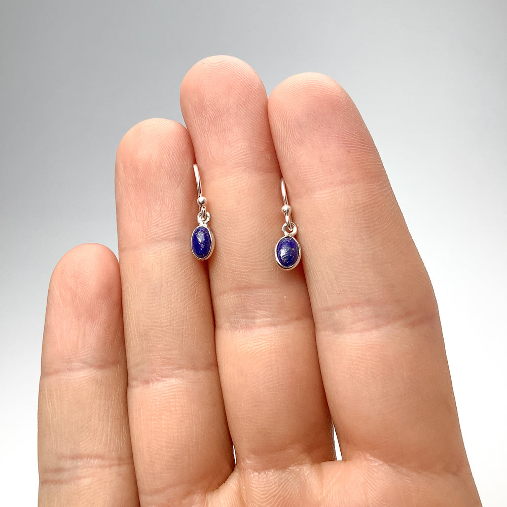 Lapis Lazuli Dangle Earrings - Rocks and Gems Canada