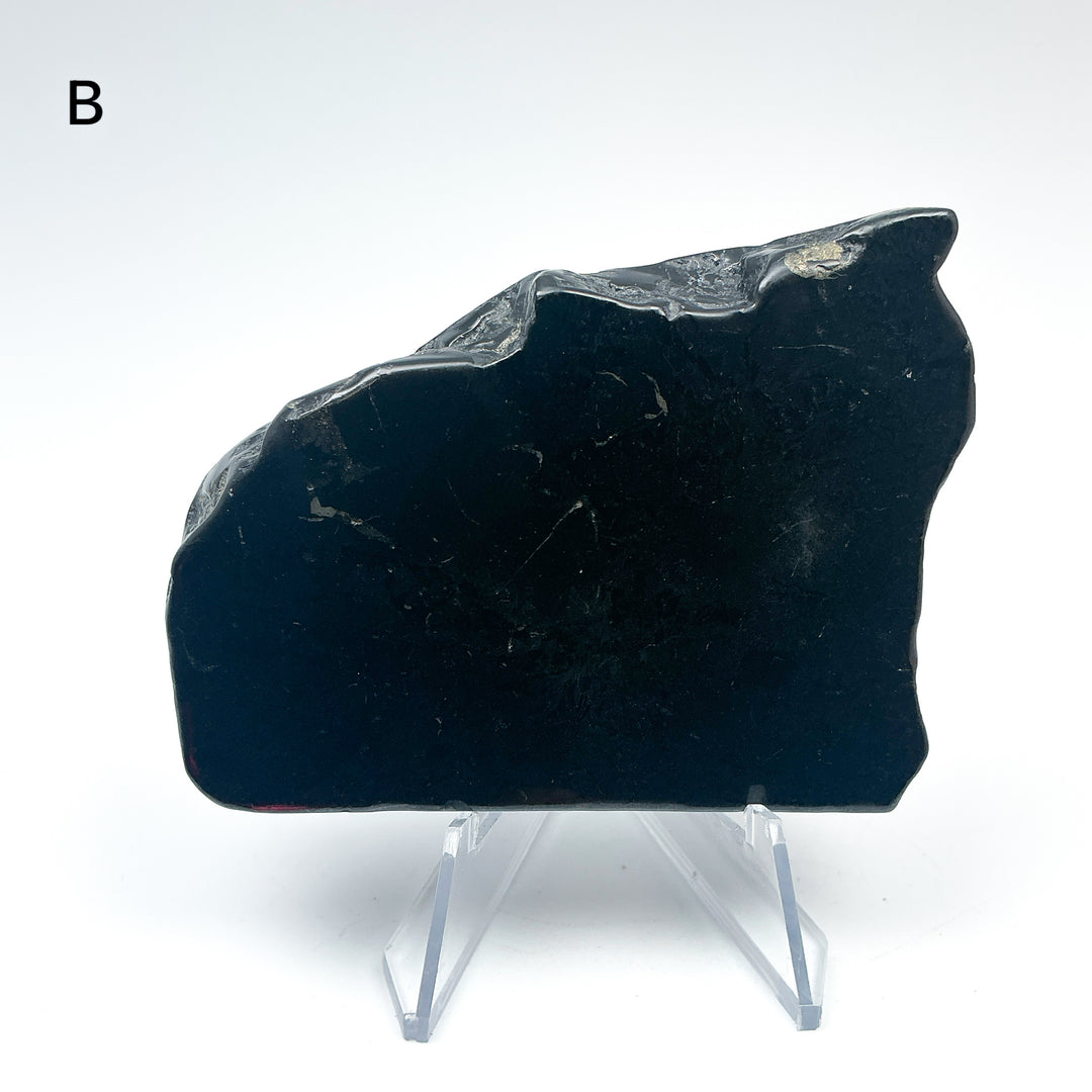 Shungite Slice - Rocks and Gems Canada