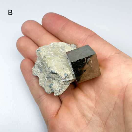 Iron Pyrite Cube in Matrix